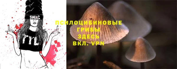 марихуана Новозыбков
