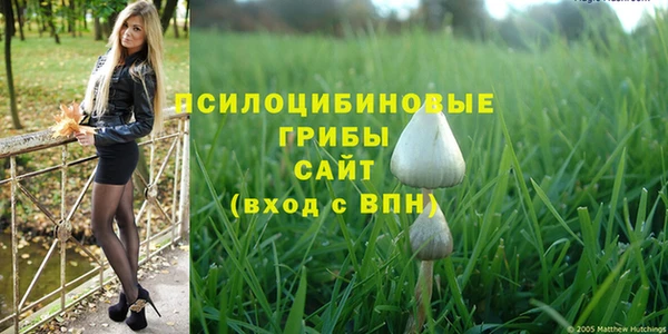 дурь Арсеньев