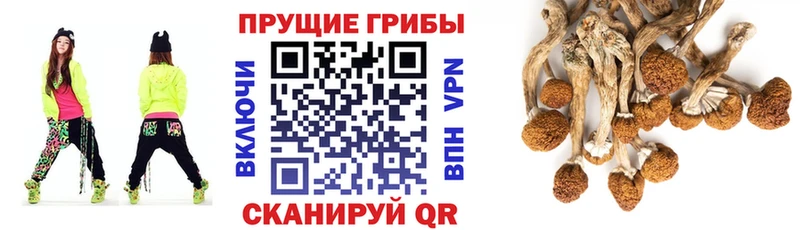 Галлюциногенные грибы MAGIC MUSHROOMS  Улан-Удэ 